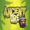 Ancient Ore Level 04