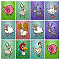 Play Game