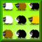 Sheep Match