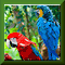 Play Zoo Puzzle 2