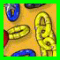 Play Game