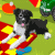 Play Find It
